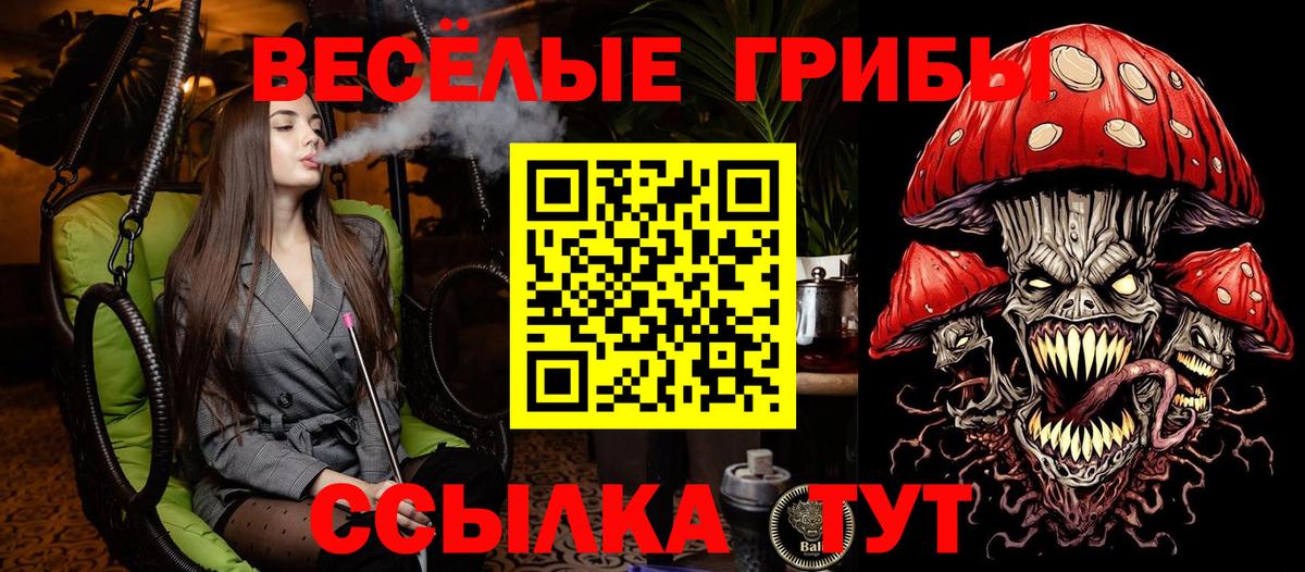Псилоцибиновые грибы Magic Shrooms  Галлюциногенные грибы Magic Shrooms  Вход с VPN  Анжеро-Судженск 